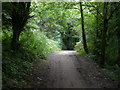 Haughton Green, footpath