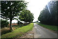 Tree lined road to Westwell