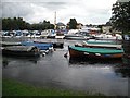 River Leven, Balloch