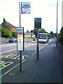 Bus Stop, Willowbrae Road