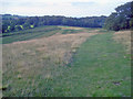 North end of Bradgate Park