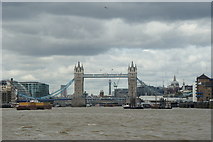 TQ3380 : River Thames by Peter Trimming