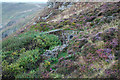 Disused Mine Shaft