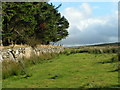 Boundary wall and open moor at Batworthy