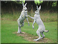 Boxing Hares