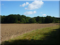 Field with Stack Wood beyond