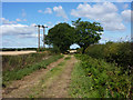 Footpath north of Hadleigh Heath