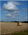 Field with bales near Kersey Vale