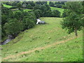 Fir Beck near Stangs Laithe