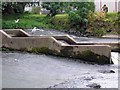 Cauld and Fish Ladder on the Jed Water