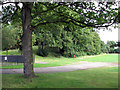 West Bridgford: old railway embankment