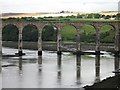 Royal Border Bridge.