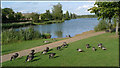 Furzton Lake, Milton Keynes.