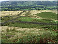 SE0946 : Hillside below Crawshaw Moss by Chris Wimbush