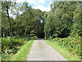 Road through Hoads Common leading to Palfrey Farm