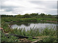 Farm pond