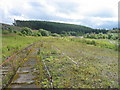 Platform at Riccarton Junction