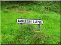 Sign, Tareesh Lane, Teconnaught