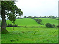 Woodgrange Townland