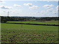 View south across fields with the South Downs in the background