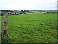 Looking Towards Gorran Churchtown