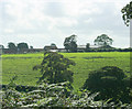 2009 : Across the valley to Manor Farm