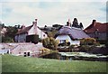 Village Pond at Singleton , West Sussex