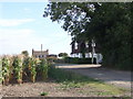 Cottages near Ham Green