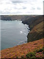 Cliff top on Newdowns Head