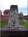 Carrickstone Trig