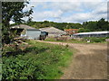 Langhurst Farm near Balls Cross