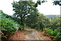 The North Wales Path west of Conwy