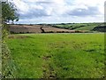 Fields Near Tregony