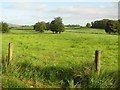 Lislimnaghan Townland