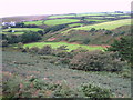 Small field in Chapel Coombe