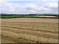 H3184 : Barley field at Crew Lower by Kenneth  Allen