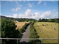 Carnagat Road, Newry, viewed from the railway line