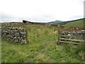 Sheep fank, Langburnshiels