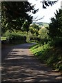 Lane to Chagford