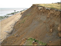 TM2624 : The Naze: Cliff erosion (5) by Nigel Cox