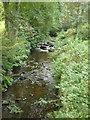 Hebble Brook near Stod Fold