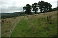 Footpath to Owlpen