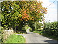 Lane Junction North Of Bockleton