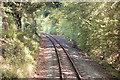 Sunlit dappled railway