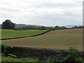 Fields on the eastern edge of Petworth Park