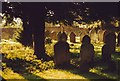 Willington churchyard just after a storm, Bedfordshire