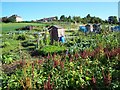 Allotments Off Sir John