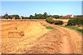 Farm Access and Public Footpath