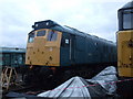 TG1141 : Class  25 - 25057 by Ashley Dace