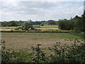 Low lying fields by the River Stour